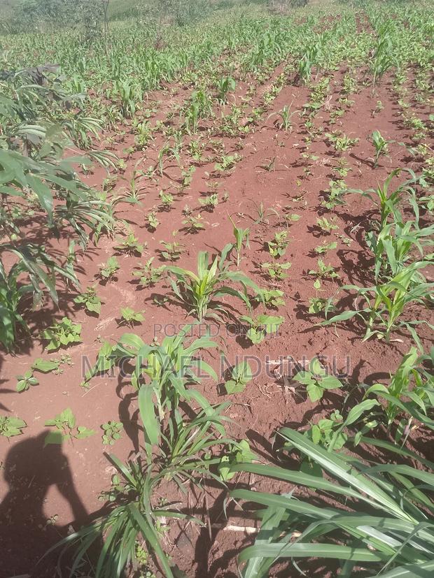 Malindi Lands for Sale