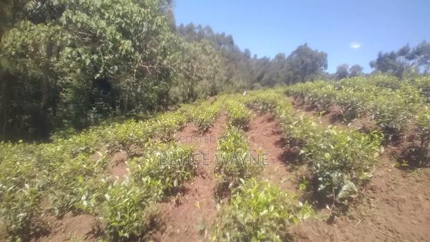1 Acre Land for Sale, 200m From Nandi Town.