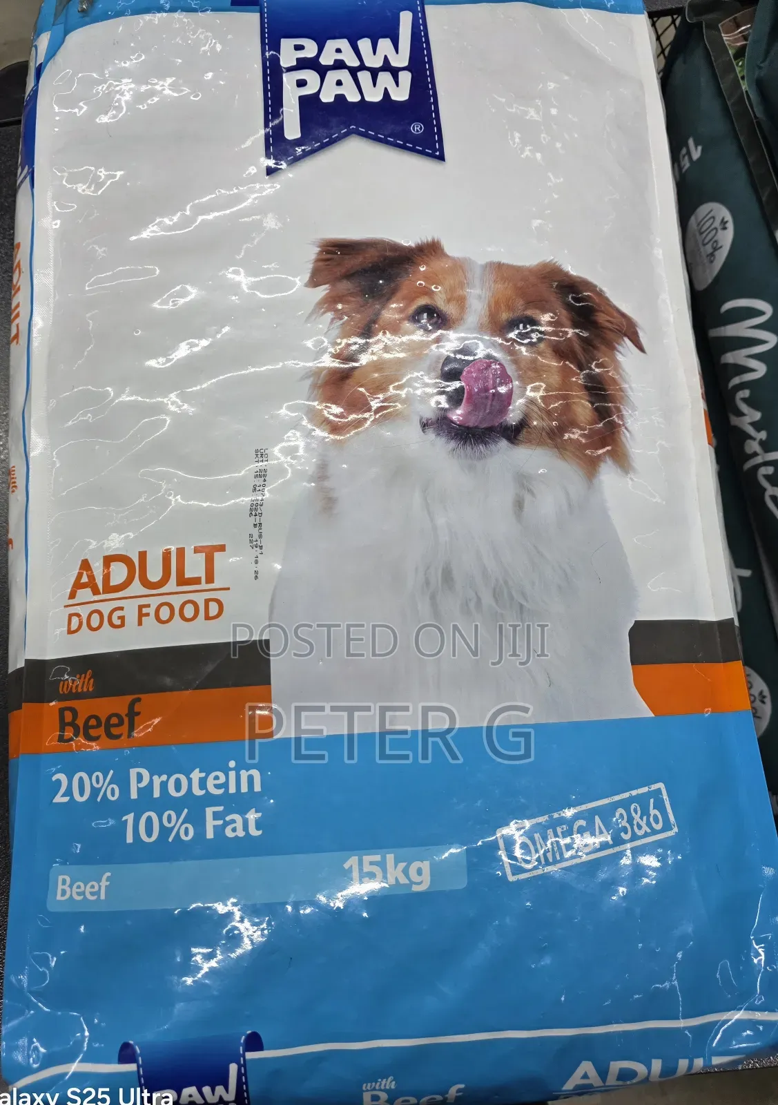 1+ year Male Mixed Breed Dog