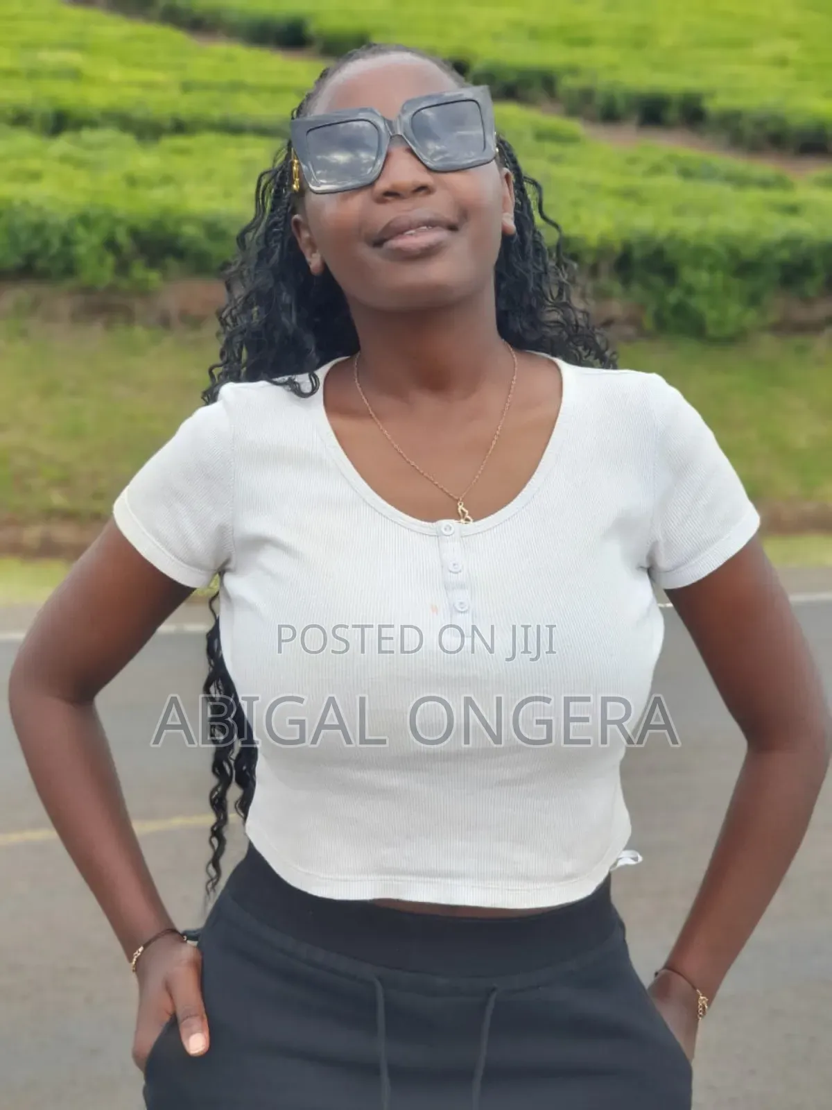 Searching for a Cv Opportunity, Am Flexible