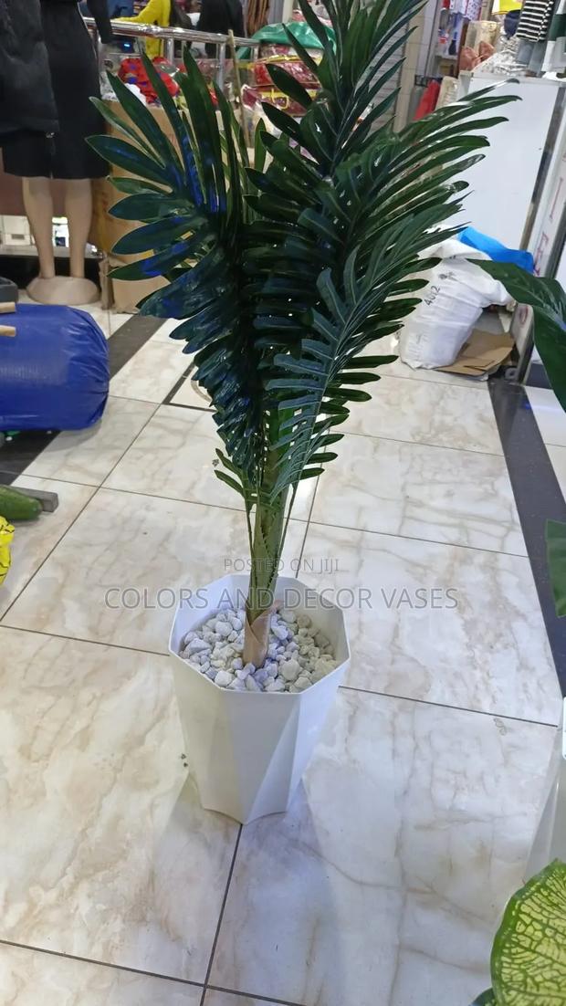 Palm 1.2m in Vase