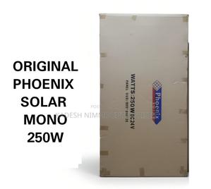 250w Solar Panel 24v-Phoenix Solar Panel - thumbnail 2