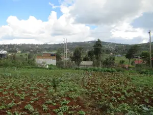 4.5 Acres of Land for Sale in Kibiko, Ngong