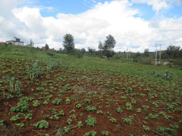4.5 Acres of Land for Sale in Kibiko, Ngong - thumbnail 9