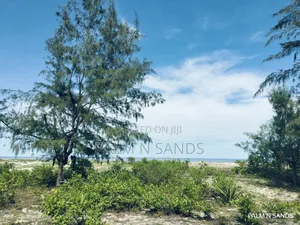 3.2 Acre Prime Beachfront Land on Sale!! At
