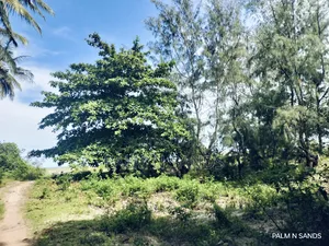 3.2 Acre Prime Beachfront Land on Sale!! At