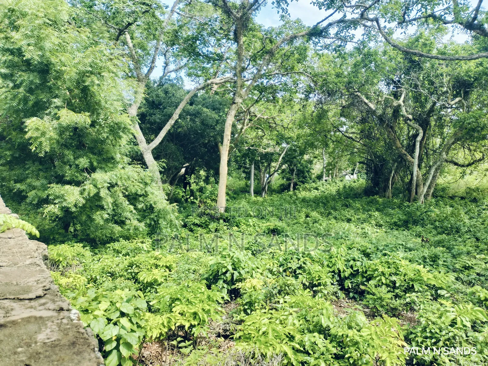 3.2 Acre Prime Beachfront Land on Sale!! At