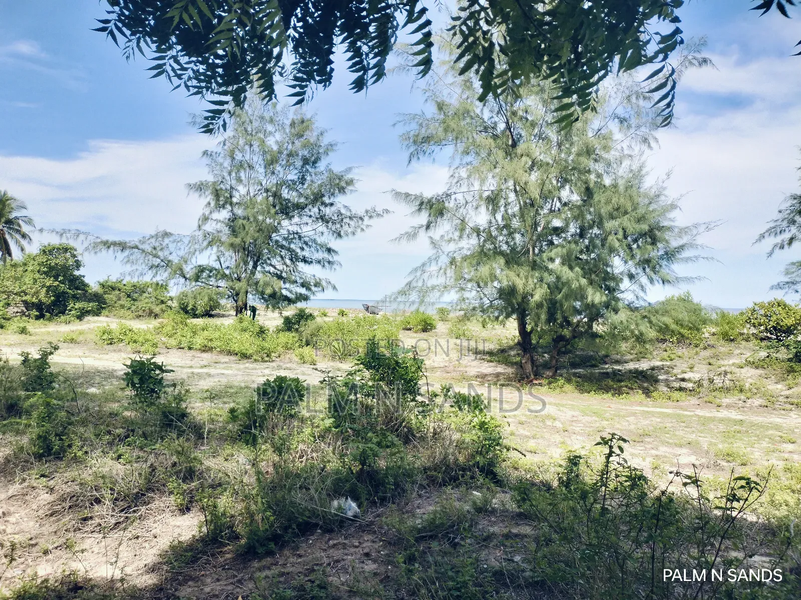 3.2 Acre Prime Beachfront Land on Sale!! At