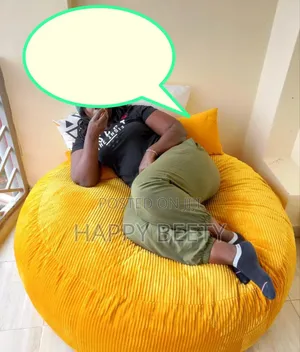 Beautiful  Beanbag Seat/Couch