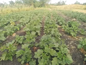 4 Acres at Kirwara Makutano Mwea