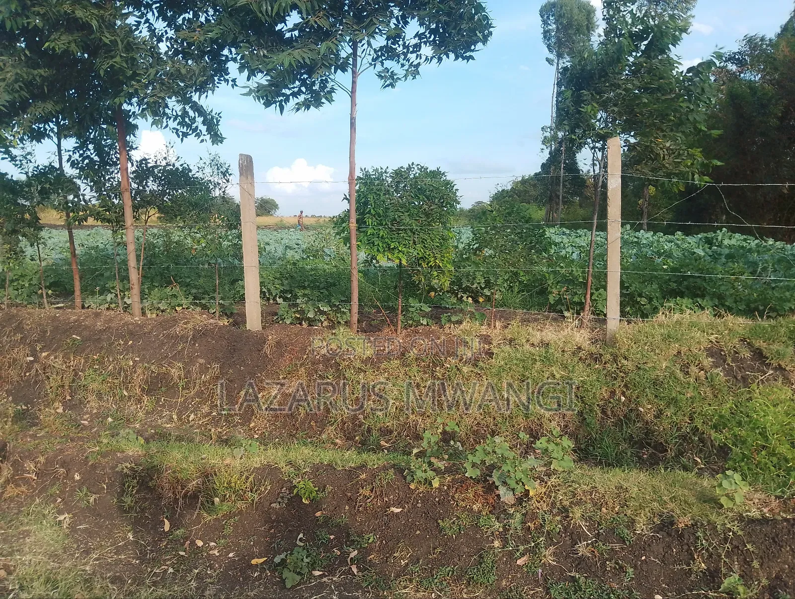4 Acres at Kirwara Makutano Mwea