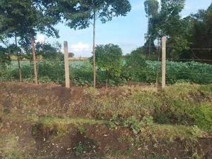 4 Acres at Kirwara Makutano Mwea