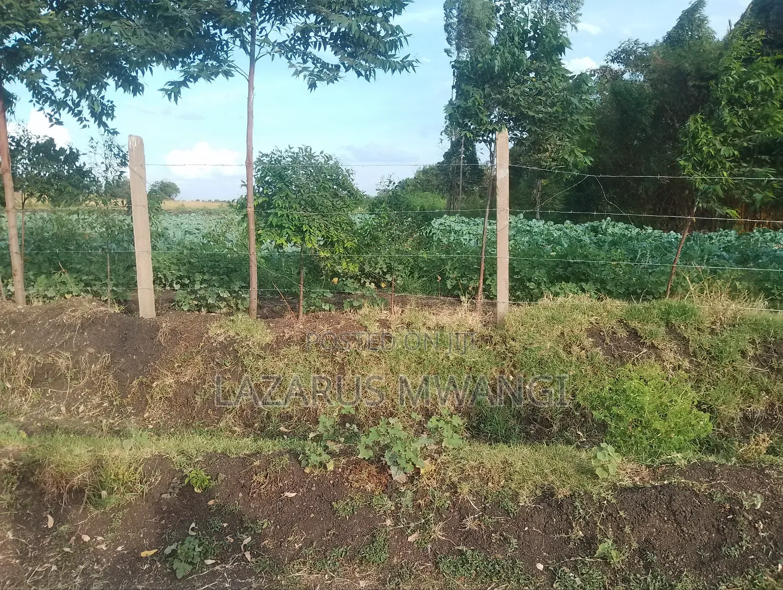 4 Acres at Kirwara Makutano Mwea