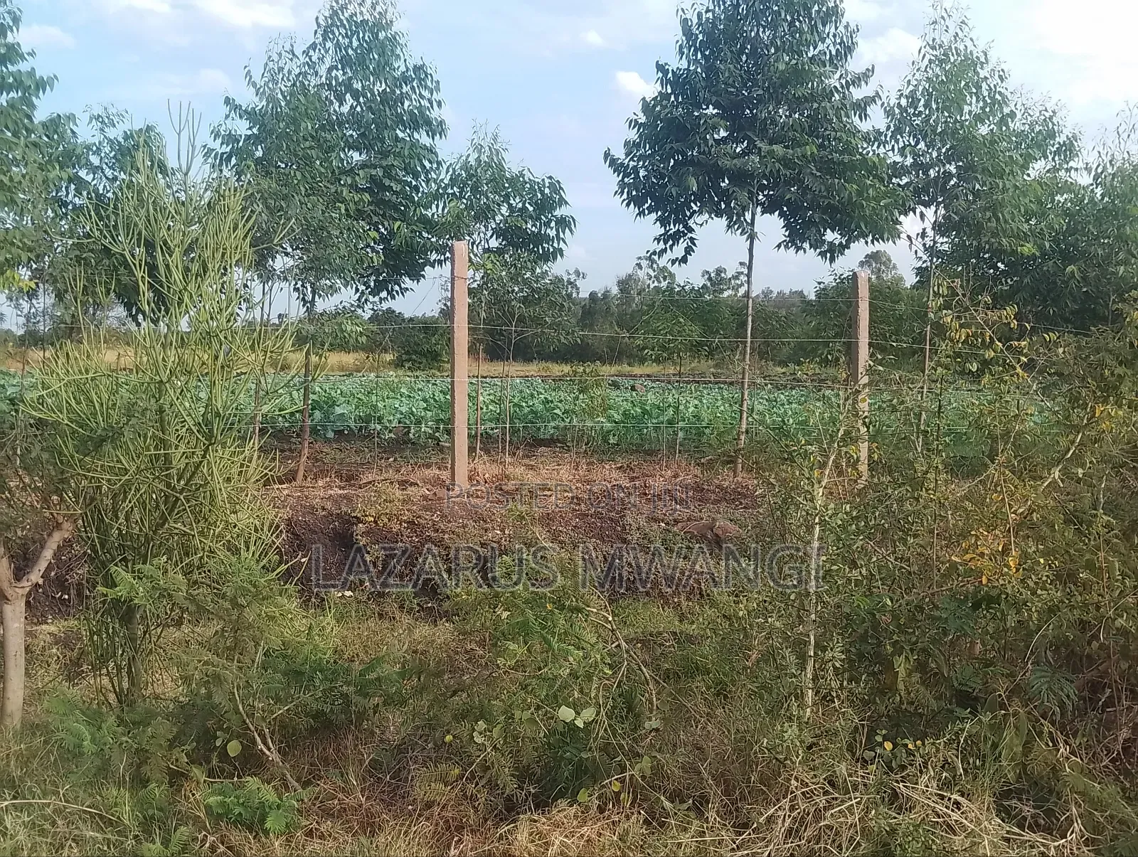 4 Acres at Kirwara Makutano Mwea