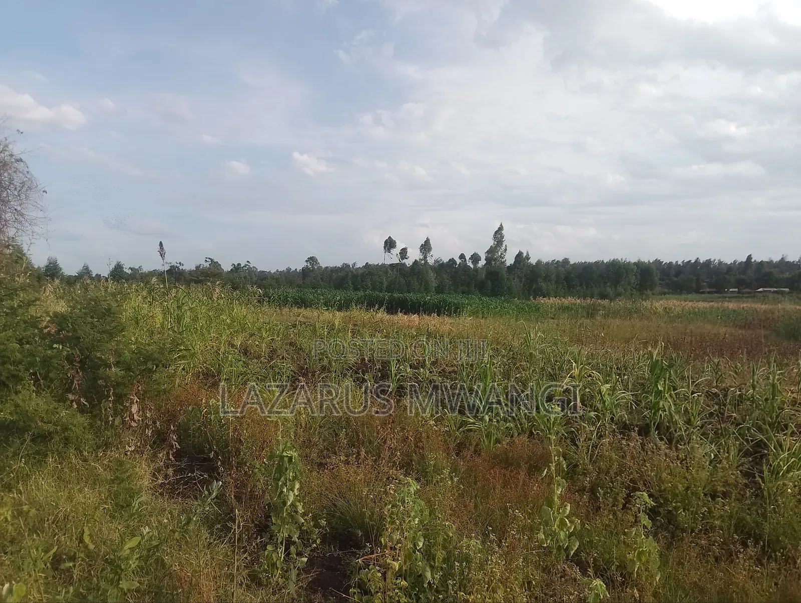 4 Acres at Kirwara Makutano Mwea
