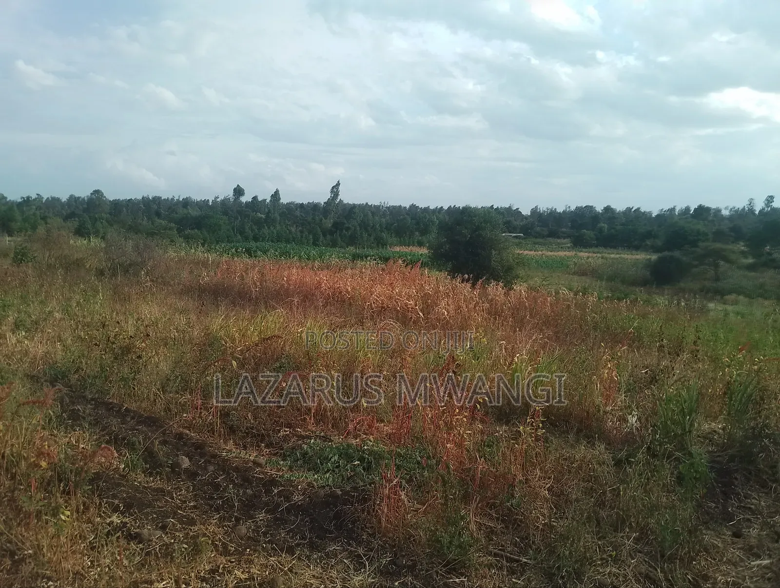 4 Acres at Kirwara Makutano Mwea