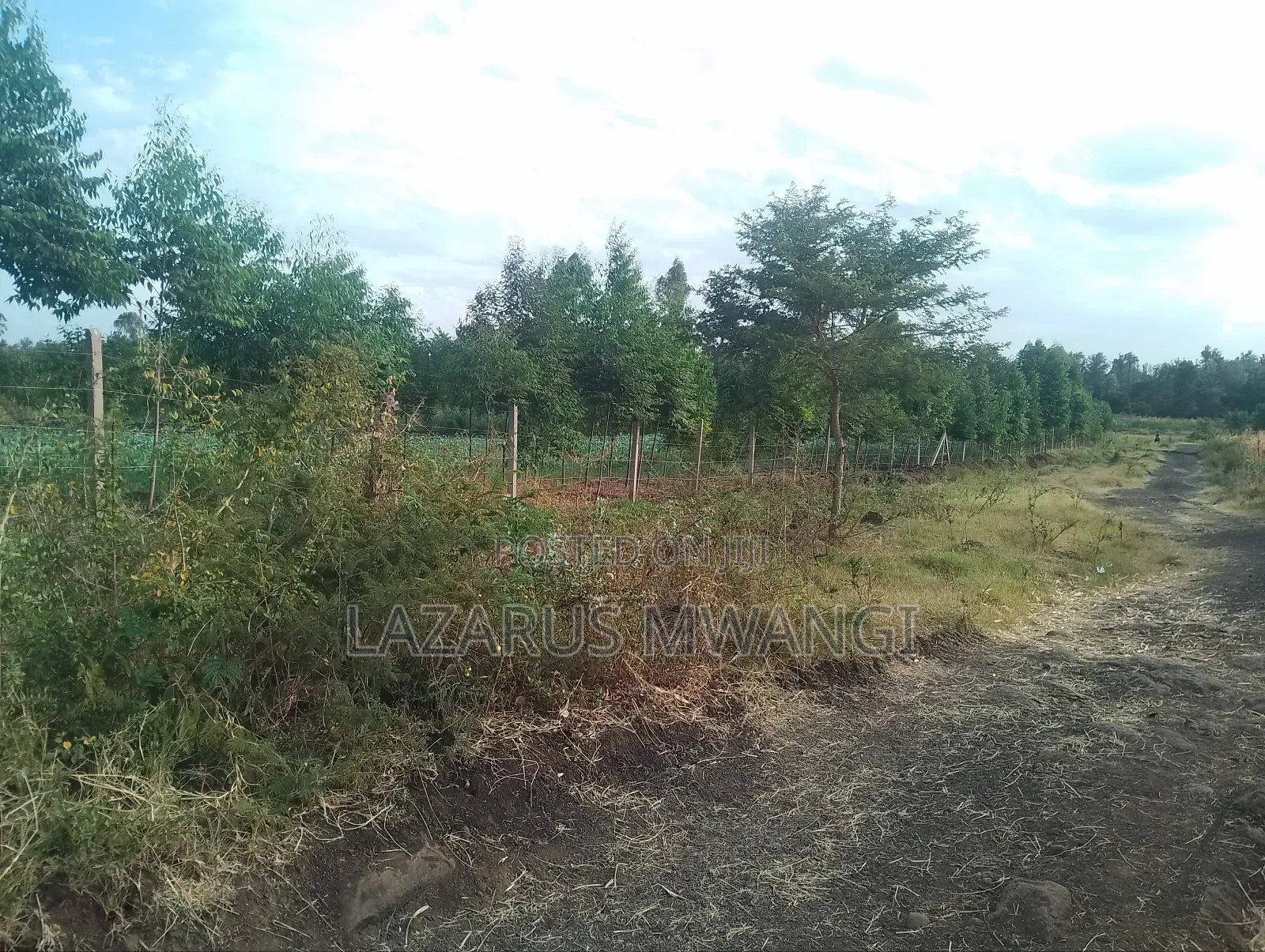 4 Acres at Kirwara Makutano Mwea