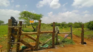 Electric Fence Installation Expert