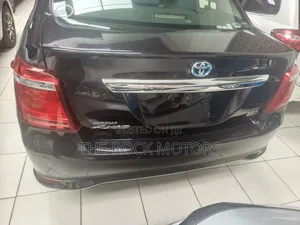 Toyota Axio 2018 Maroon
