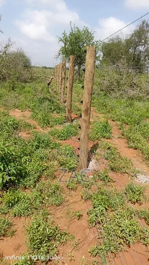 Fence Installation