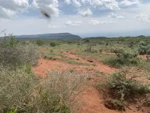 Mikuyuni Ndasha 5 Acres