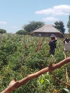 Half Acre of Land at Kaseveni Area, Embu Mwea 20kms From Makutano