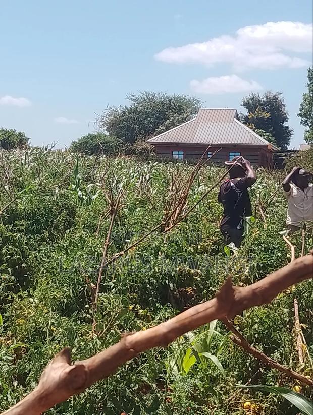 Half Acre of Land at Kaseveni Area, Embu Mwea 20kms From Makutano