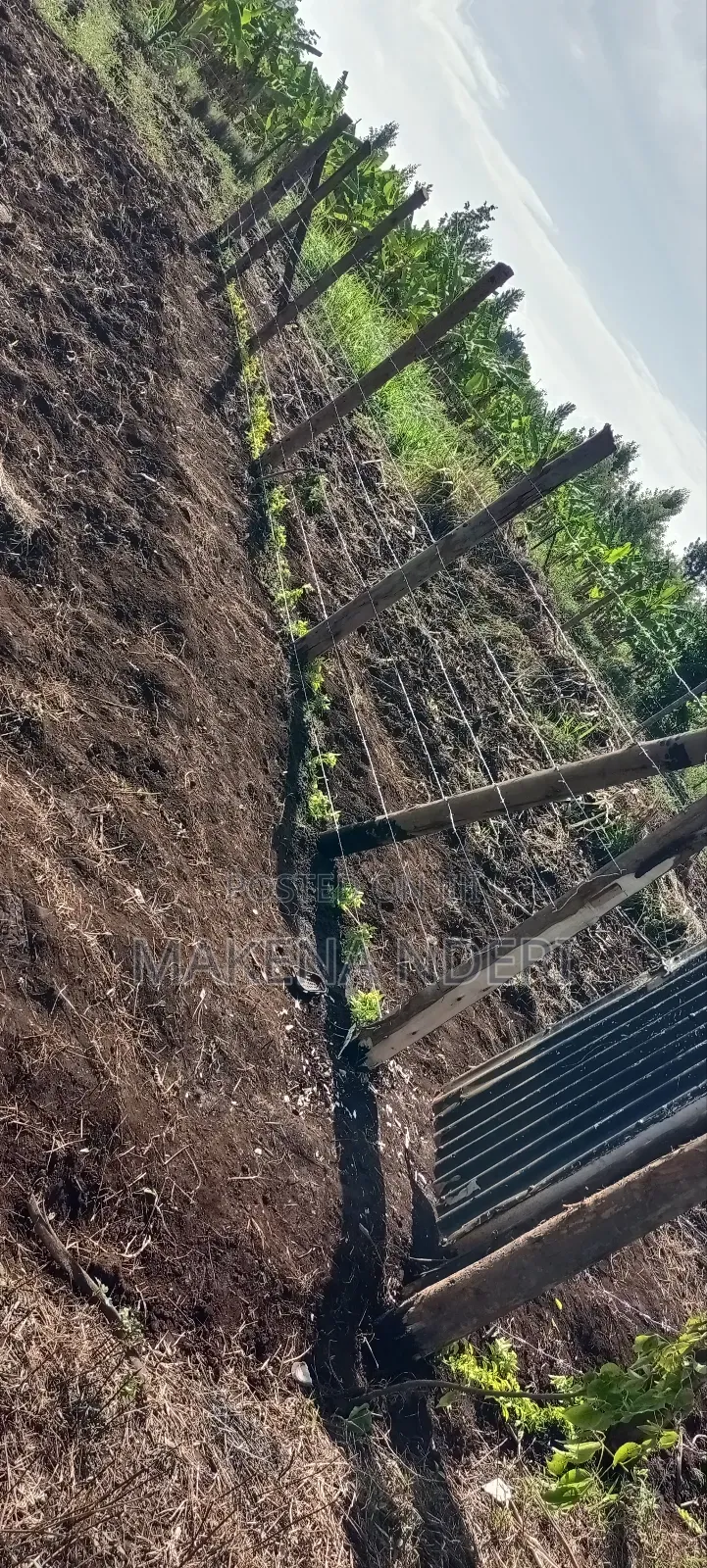 50*100 Plot at Kiaga/ Kirimunge/ Njega/ Baricho Junction