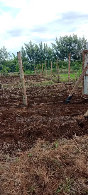 50*100 Plot at Kiaga/ Kirimunge/ Njega/ Baricho Junction