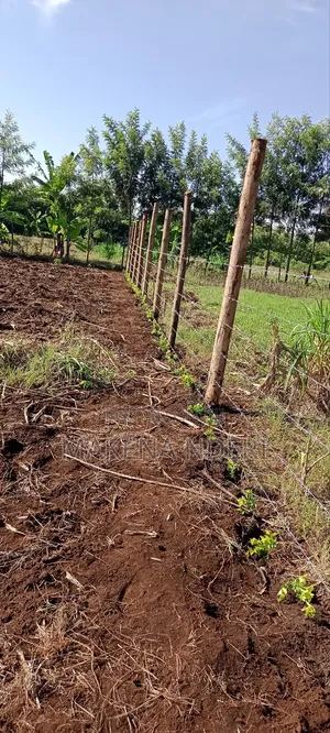 50*100 Plot at Kiaga/ Kirimunge/ Njega/ Baricho Junction