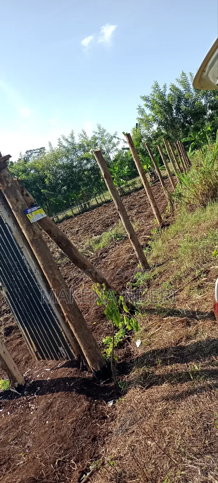 50*100 Plot at Kiaga/ Kirimunge/ Njega/ Baricho Junction