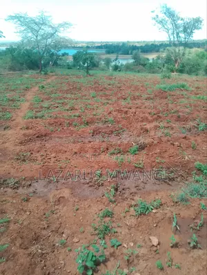 One Acre of Fertile Land at Kaseveni Area Few Mins From Makutano Town