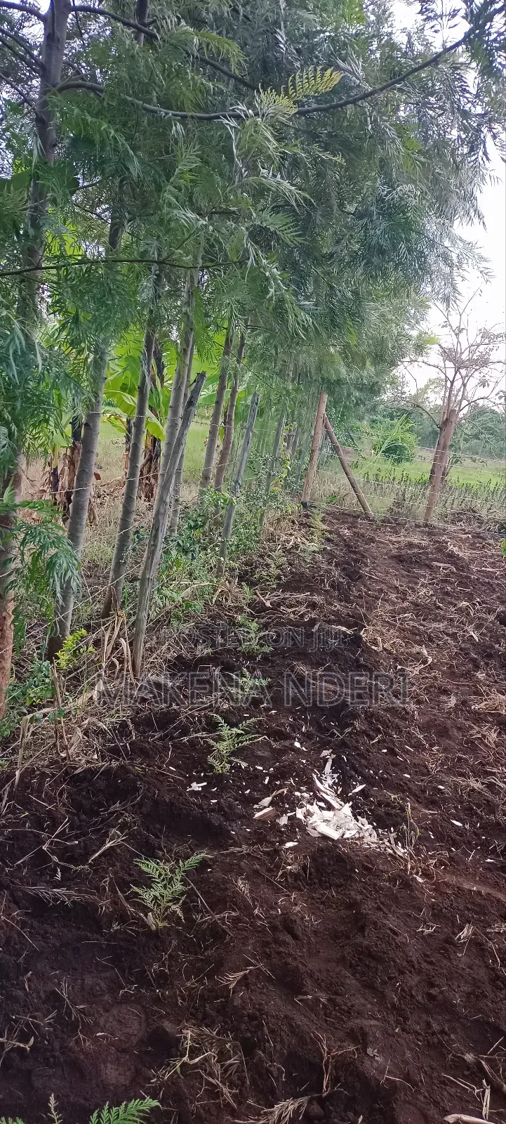 50*100 Plot at Kiaga/ Kirimunge/ Njega/ Baricho Junction