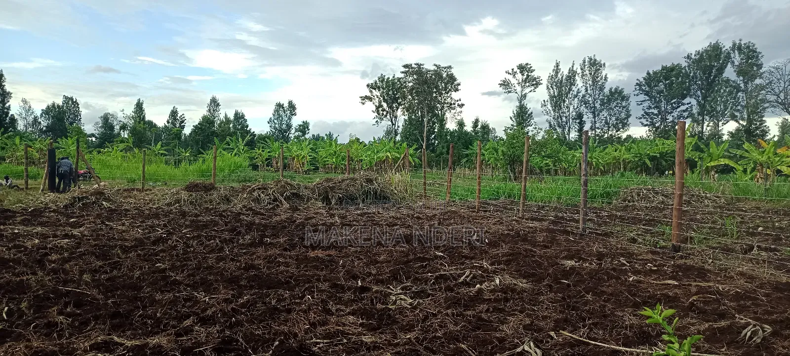 50*100 Plot at Kiaga/ Kirimunge/ Njega/ Baricho Junction