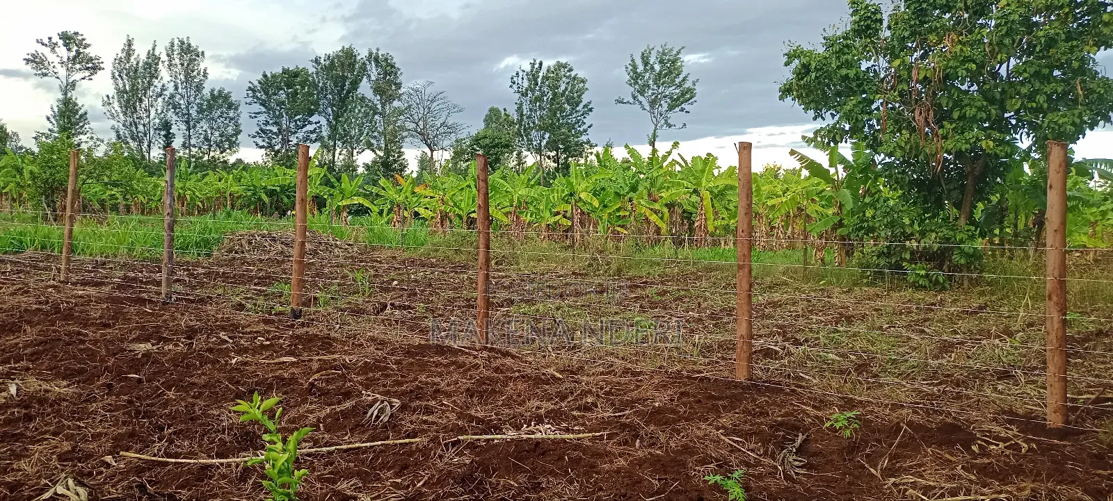 50*100 Plot at Kiaga/ Kirimunge/ Njega/ Baricho Junction