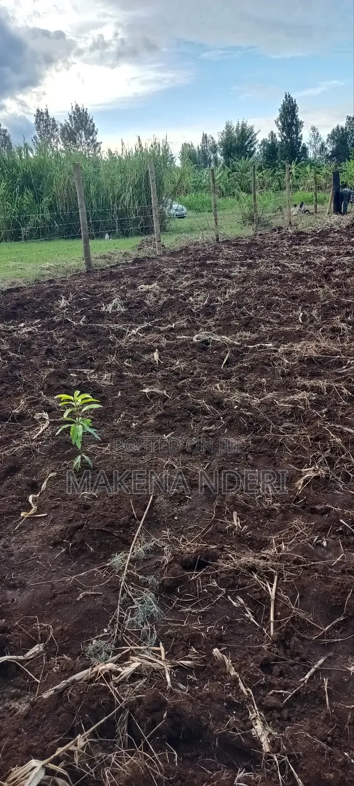 50*100 Plot at Kiaga/ Kirimunge/ Njega/ Baricho Junction