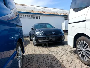 Volkswagen Beetle 2019 Black