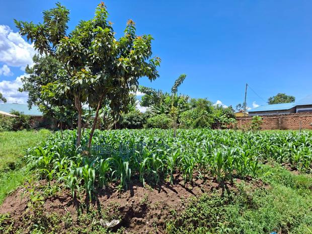 2 Commercial Plots for Sale in Mashambani Area Bungoma Town
