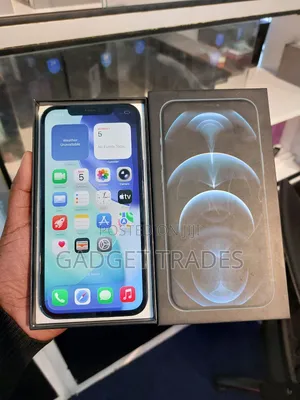 Apple iPhone 12 Pro Max 256 GB Blue