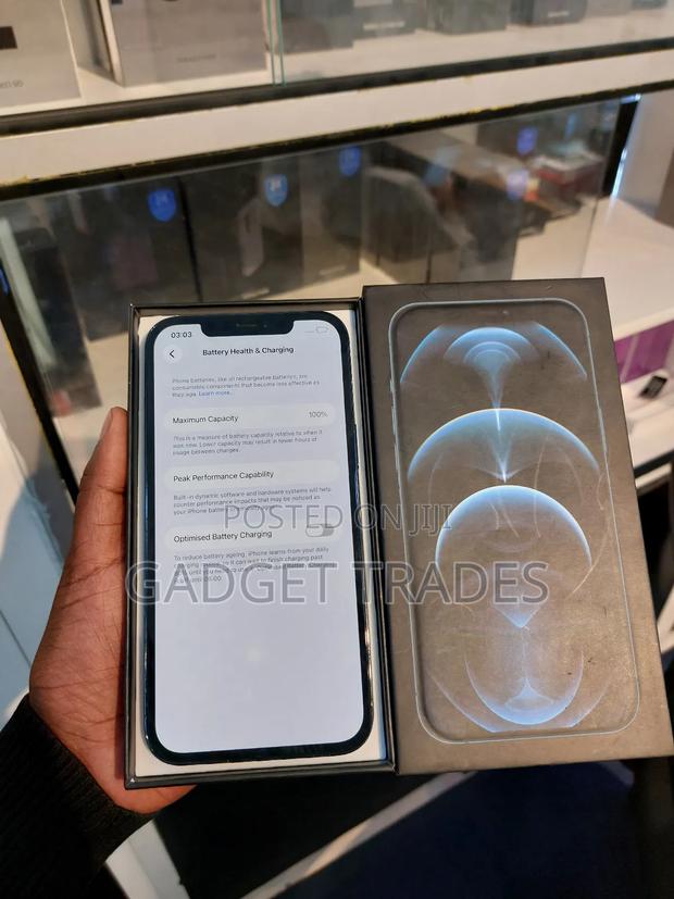 Apple iPhone 12 Pro Max 256 GB Blue - thumbnail 4
