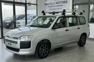 Toyota Probox 1.5 DX 2WD 2020 Silver