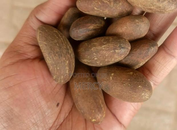 Bitter Kola Nuts - main view
