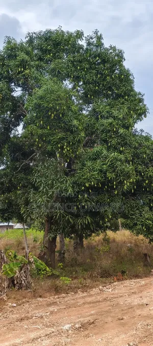3 Plots Left Mtwapa Project