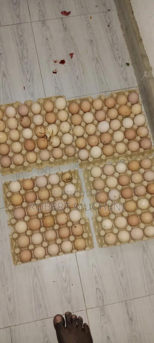 Fertilized Improved Kienyeji Eggs - main view