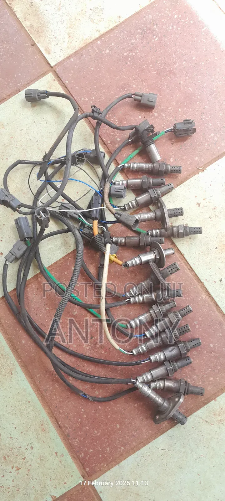 Sensors and Xenon Light Bulbs