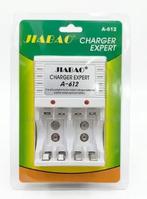 Jiabao Battery Charger