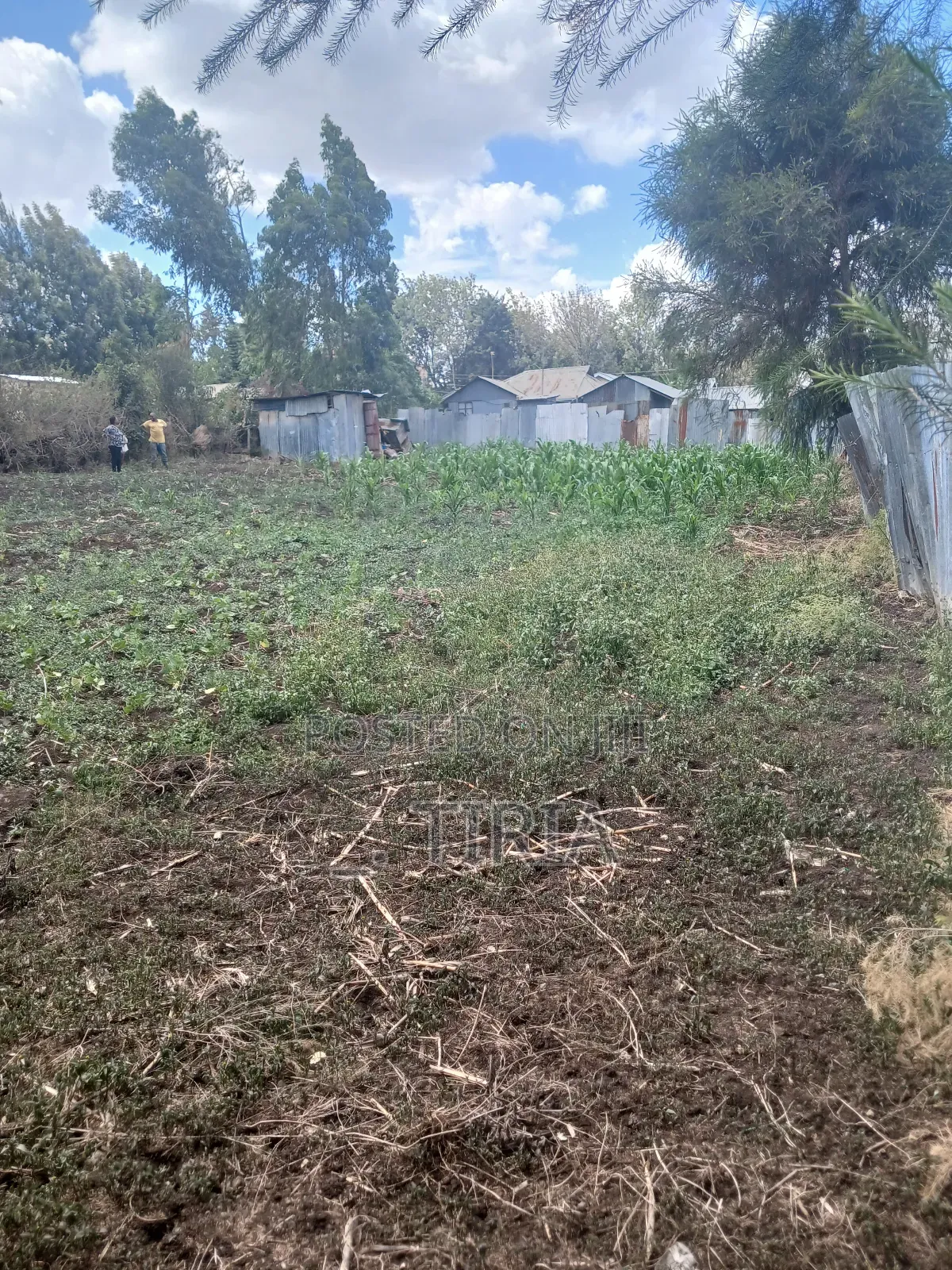 Land for Lease in Matasia