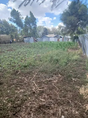 Land for Lease in Matasia