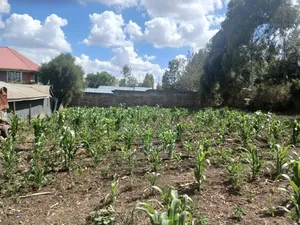 Land for Lease in Matasia