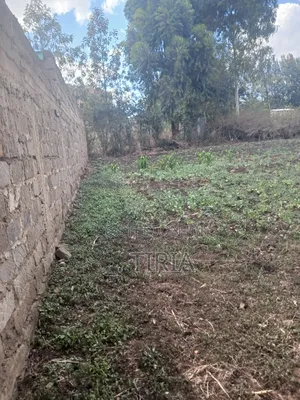 Land for Lease in Matasia